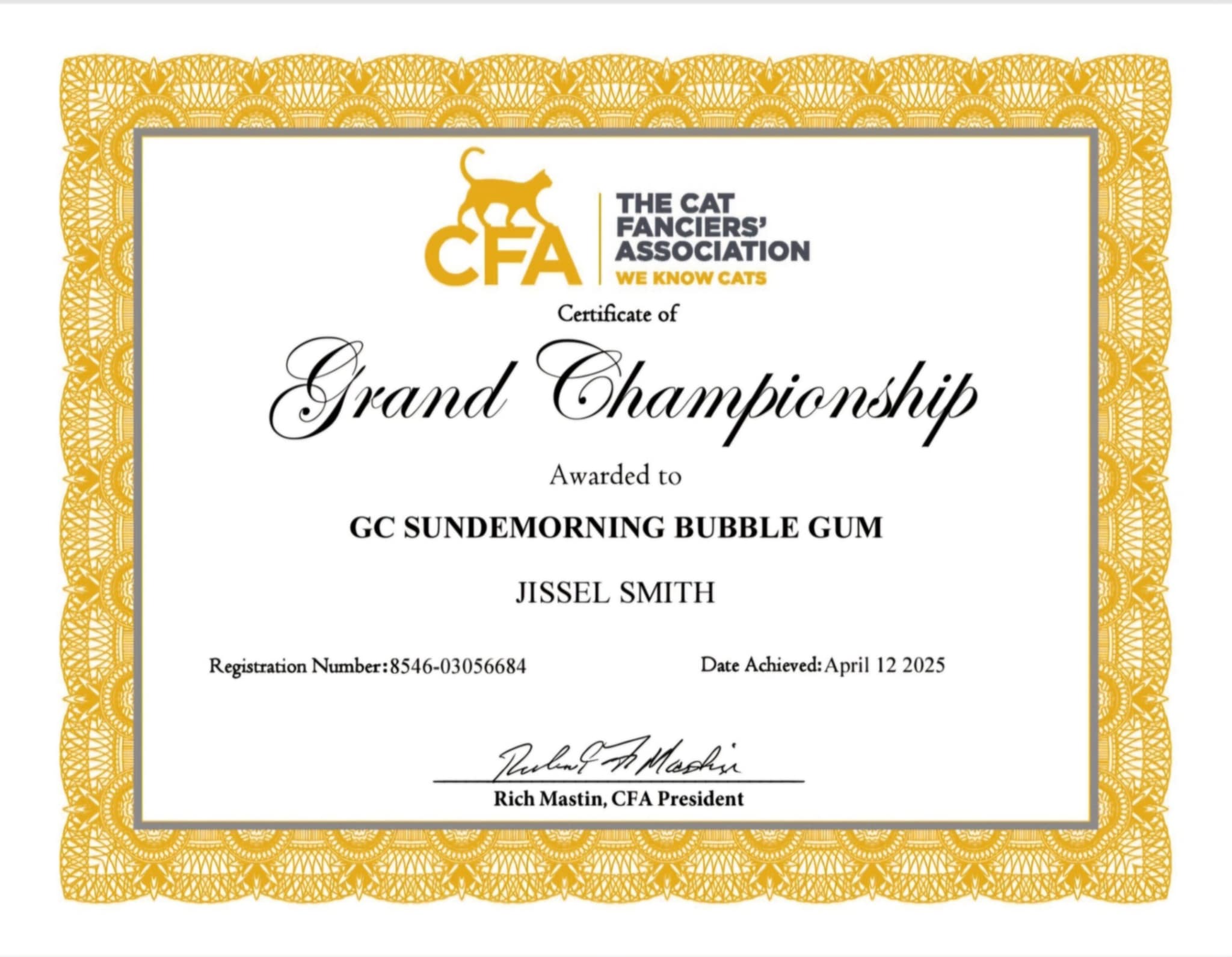 CFA Grand Championship certificate awarded to GC Sundemorning Bubble Gum on April 12, 2025