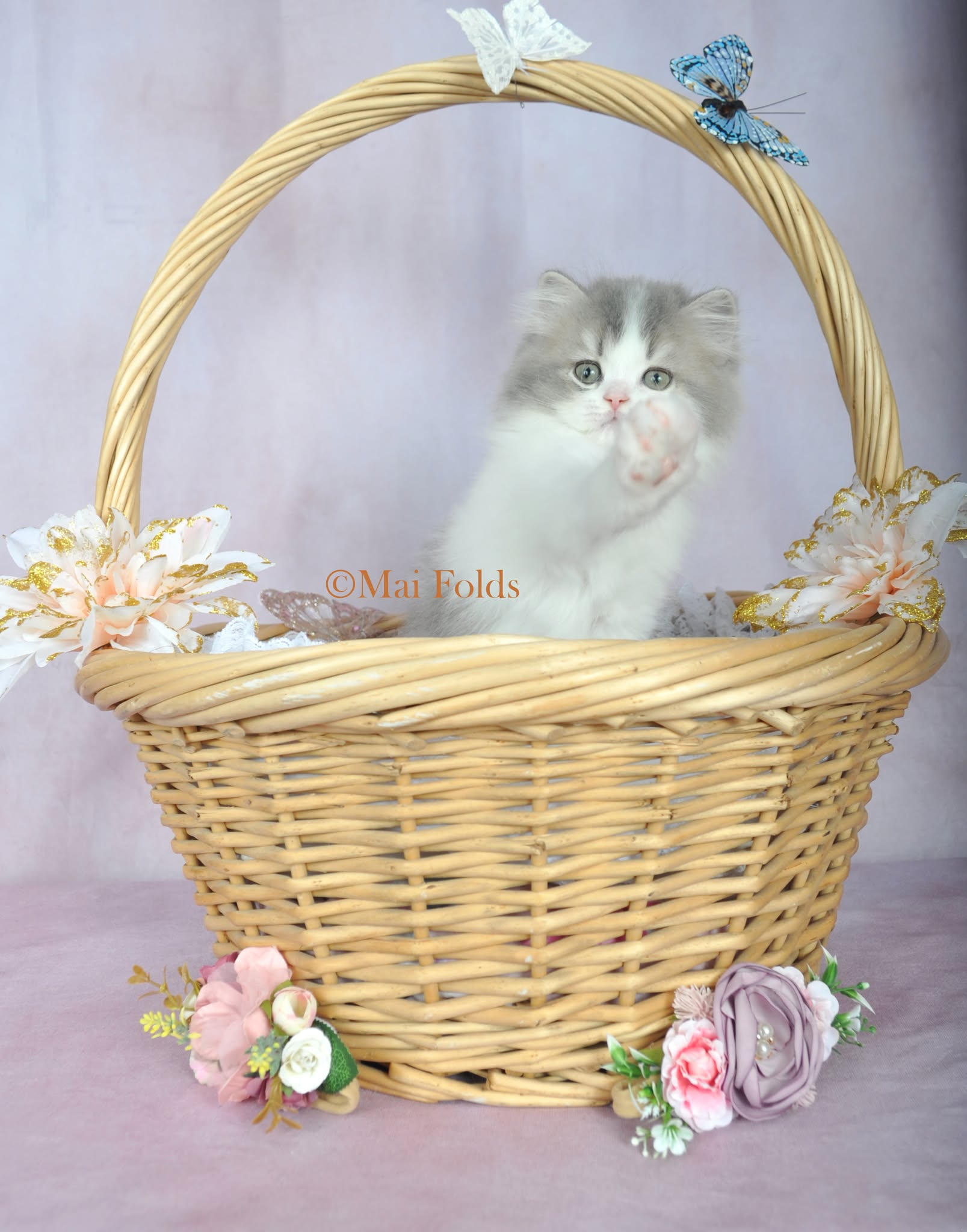 Mochi